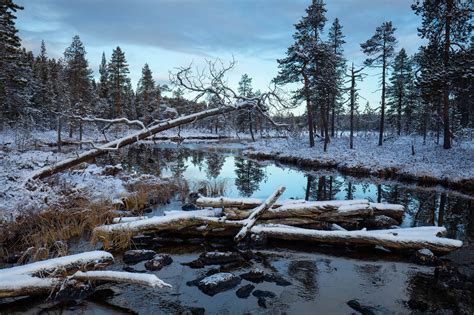 Hintergrundbilder Winter Fluss Holz Natur Bäume 1920x1280