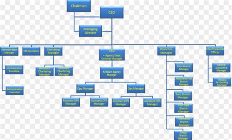 Organizational Chart Senior Management Structure Png Image Pnghero