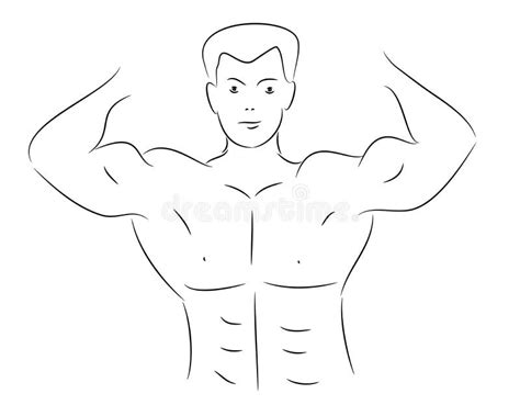Line Art Muscular Bodybuilder Stock Illustrations Line Art