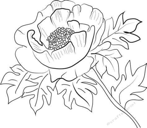 Fancy Flowers Digital Stamps Fancy Flower Coloring Pages