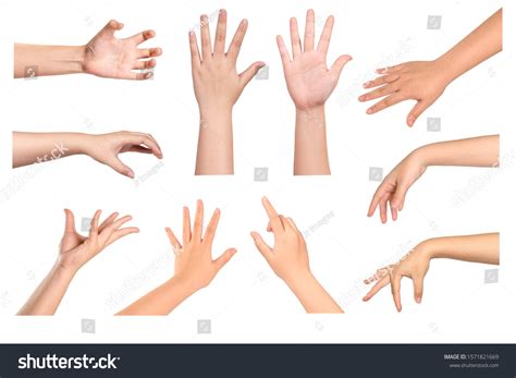 Set Woman Hands Gestures Isolated On Stock Photo 1571821669 Shutterstock