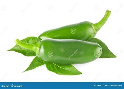 Pair Of Fresh Organic Jalapeno Chili Pepper With Green Leaves Stock