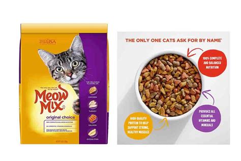 Top 10 Best Vet Recommended Dry Cat Food Of 2023 Review Best Pet Pro