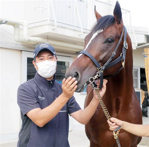We did not find results for: 【オールカマー 今週のキーマン】林調教師「精神面で成長 ...