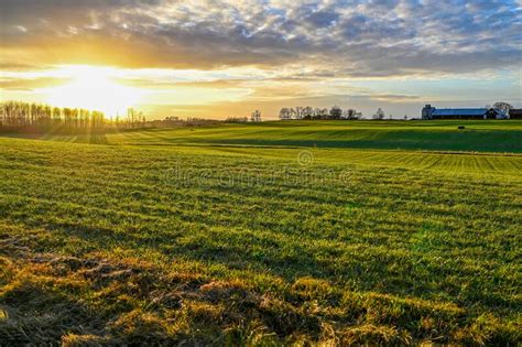 Scenic Wiew Over Green Agriculture Field And Sunset Stock Image Image
