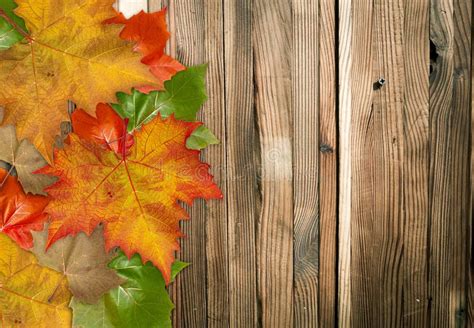 Autumn Leaves Over Wood Background Stock Photo Image Of Shabby Retro