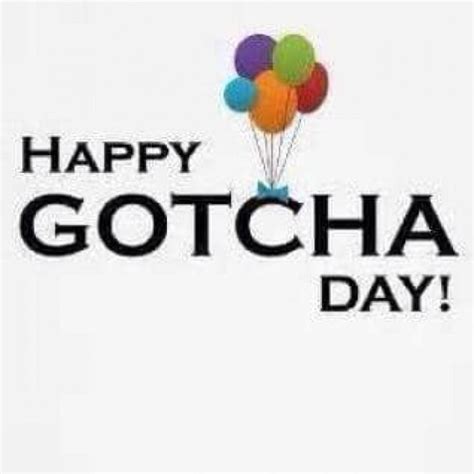 gotcha day … gotcha day happy birthday images adoption day