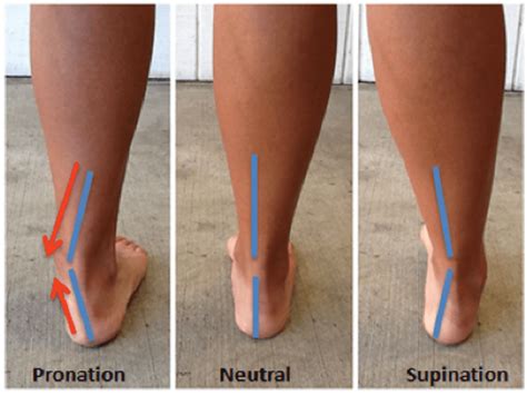 Supination And Pronation Of The Foot Riktr Pro Deep Tissue Sports