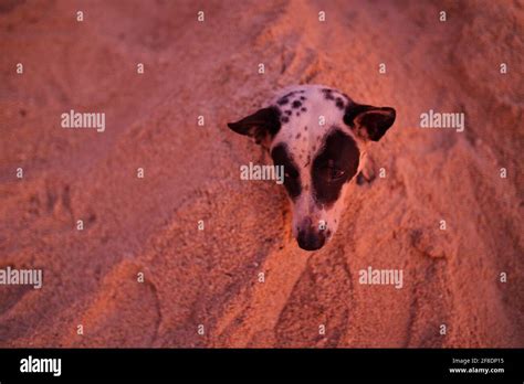 Sand On The Face Hi Res Stock Photography And Images Alamy