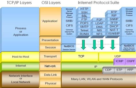 Open Systems Interconnection Model Osi Model Download Scientific Diagram
