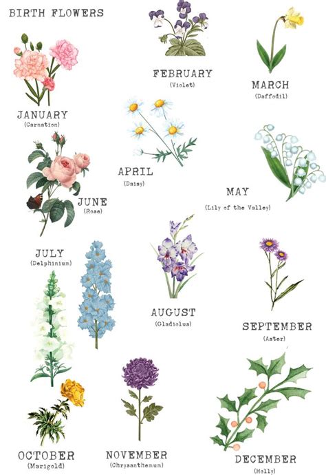 Know your birth month flowers | (#10). Birth Flower Family Print, Unframed By Summer Lane Studio ...