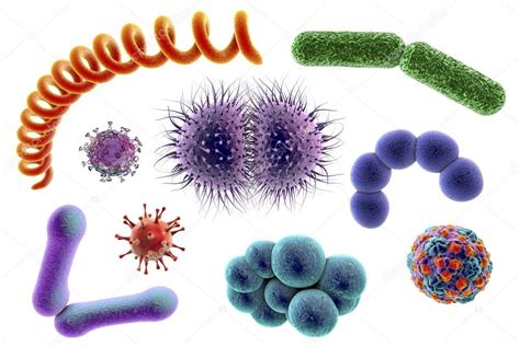 Microbes Of Different Shapes Stock Photo By ©katerynakon 125311652