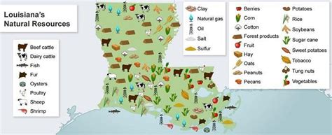 Louisiana Map Natural Resources Corene Charlotte