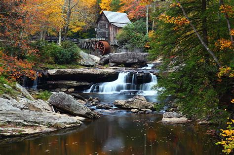 Silks, ribbons & roses florist llc music: Fall Celebrations in Roanoke, VA | George's Flowers ...