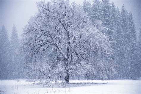 67 Winter Snow Wallpapers On Wallpapersafari