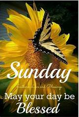 Pin by Patricia Hamm on Sunday | Blessed sunday morning, Blessed sunday quotes, Blessed sunday