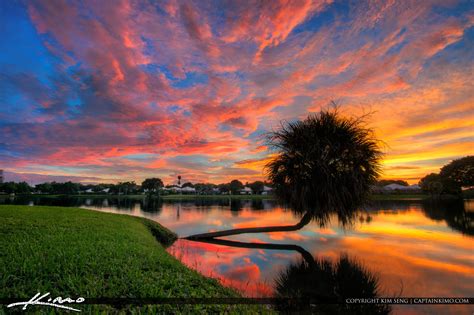 Palm Tree Sunset Over Lake Hdr Photography By Captain Kimo