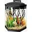 Amazoncom  Aqueon 20 Gallon Hex Aquarium Starter Kit Pet Supplies