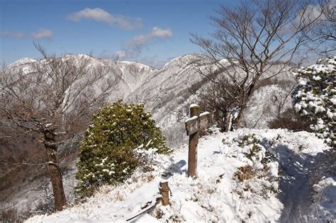The site owner hides the web page description. 秦野ビジターセンター公式ブログ: 【登山・自然情報】塔ノ岳 ...