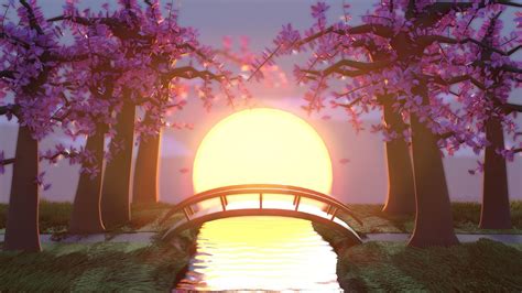 Cherry Blossoms At Sunset 1920x1080 Wallpaper