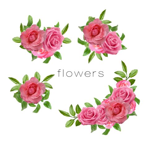 Pink Floral Design Flower Set Flower Floral Set Png And Vector With