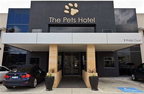 W.e have have been using the pet hotel for a good number of. The Pets Hotel | Pet hotel, Luxury dog kennels, Dog hotel