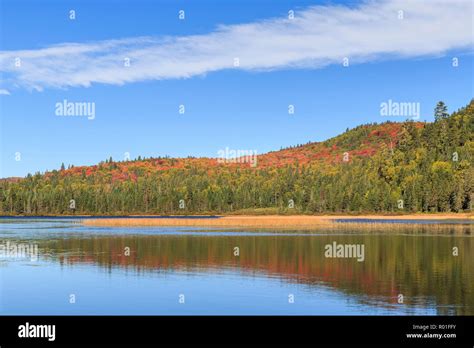Lac Aux Rats In Autumn Autumn Colouring Water Reflection Mont