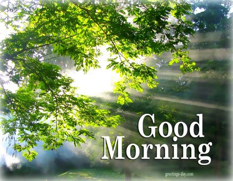 Good Morning Nature Hd Images Free Download Beautiful View Morning