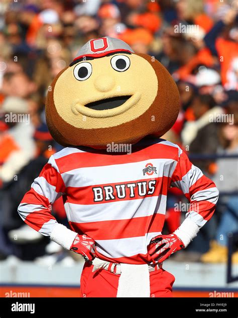 Ohio State Buckeyes Mascot Brutus Is Seen During An Ncaa Football Game