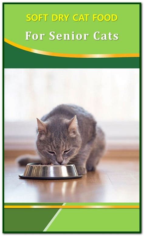 Recommended cat foods for older cats. Soft Dry Cat Food For Seniors | Top 5 Soft Dry Cat Foods ...