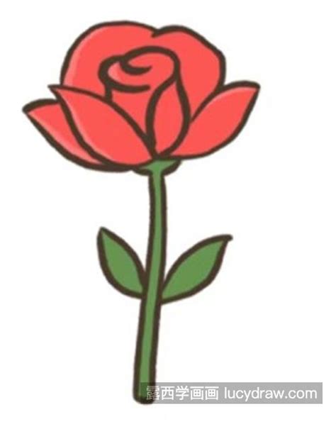 简单又好看的玫瑰花怎么画 漂亮唯美的玫瑰花简笔画教程 露西学画画