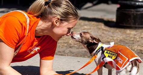 10 Companies That Donate to Animal Welfare Groups | Petlife