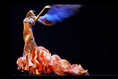 🔥 Download Flamenco Wallpaper By Matthewfletcher Flamenco Wallpaper