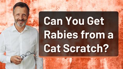 Can You Get Rabies From A Cat Scratch Youtube