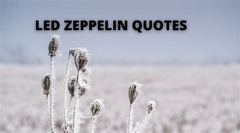65 Led Zeppelin Quotes On Success In Life Overallmotivation