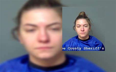 Woman Charged With Arson Stealing Ex Girlfriend’s Pitbull Sandhills Express