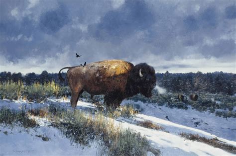 Winter North American Bison In 2019 American Bison Wildlife