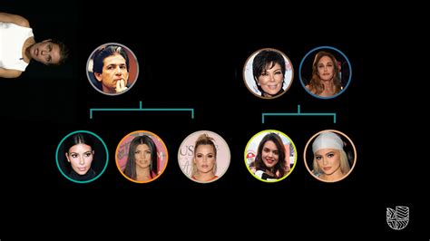 Este Es El Enredado árbol Genealógico De Las Kardashian El Clan