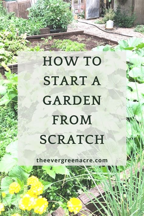 How To Start A Garden From Scratch The Evergreen Acre