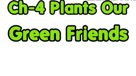 Plants Our Green Friends Explainationwhiteboard Animation Youtube