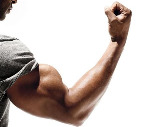 5 Ways To Add Inches To Your Arms Arm Workout Workout Routine