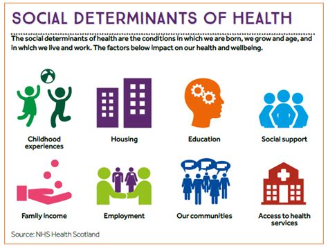 An Infographic Using Icons To Represent Each Of The Social Determinants Of Health Liste