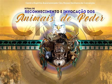 Animal De Poder Pela Data De Nascimento