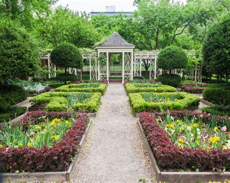 Blooming Garden Philadelphia Stock Photo Image Of Walnut Color 28214246
