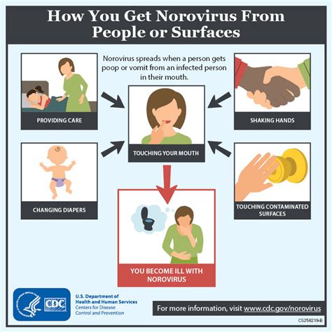 Norovirus transmission in food handlers and its prevention. Norovirus outbreak forces Sullivan Co. school to close ...