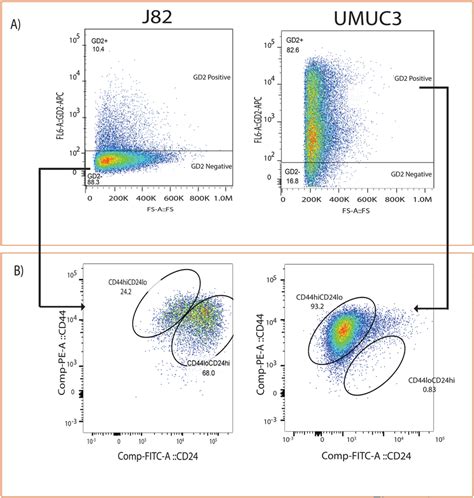 Gd2 Identifies Cd44hicd24lo In Bladder Cancer Cells A Flow Cytometry
