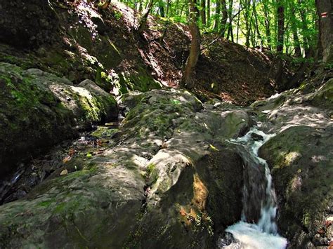 Olvasson utazói értékeléseket, tekintse meg a fényképeket, és foglaljon szobát csehország legjobb szállásán a tripadvisoron. Forrás: Duna-Ipoly Nemzeti Park ( DINPI ) Őszi séta az ...