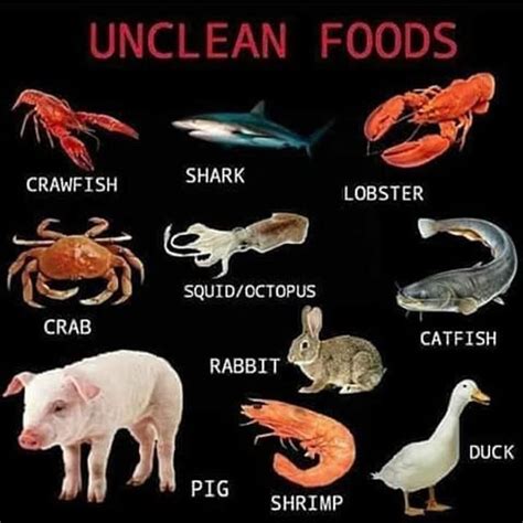 Pin On Uncleaned Foods