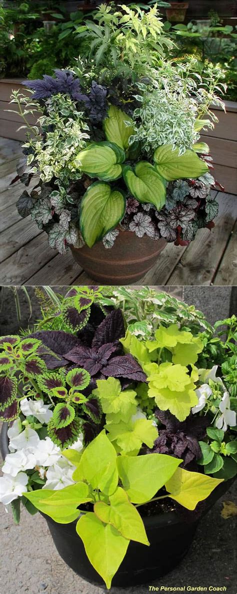 16 Colorful Shade Garden Pots And Plant Lists A Piece Of