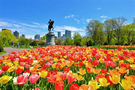 18 Top Rated Tourist Attractions In Massachusetts Planetware 2022